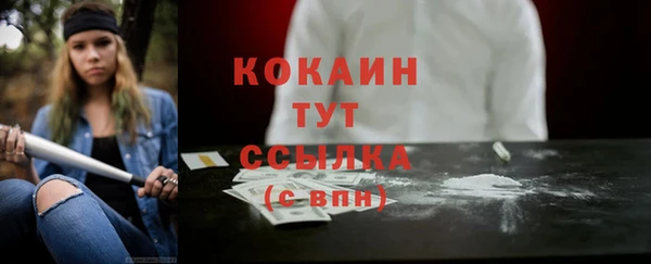 гидра Касимов