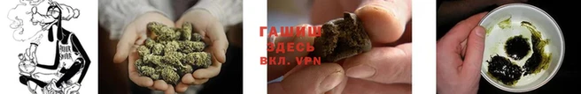 гидра Касимов