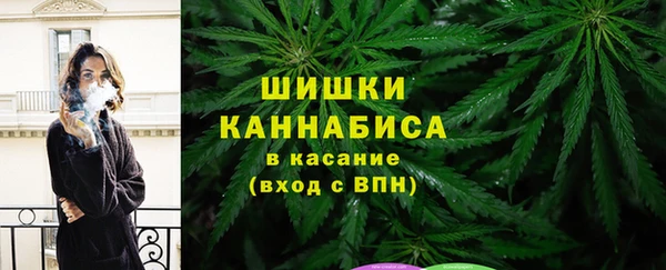 гидра Касимов