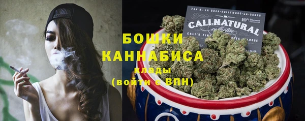 гидра Касимов