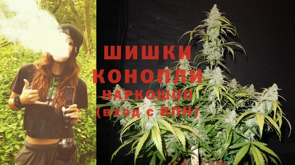 гидра Касимов