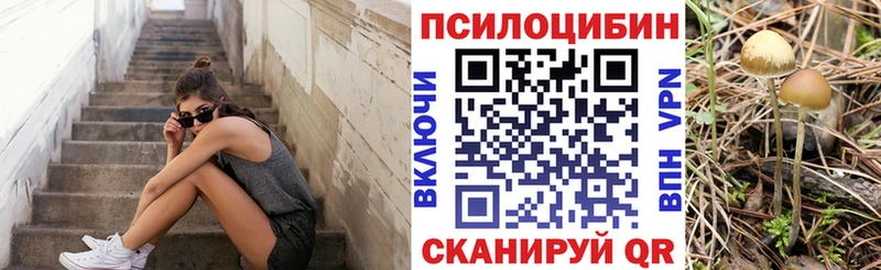 Галлюциногенные грибы MAGIC MUSHROOMS где можно купить Куса